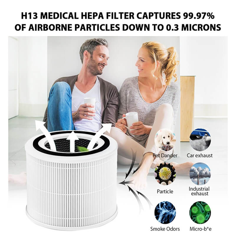 Core 300 replacement filter.jpg